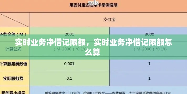 实时业务净借记限额，实时业务净借记限额怎么算 