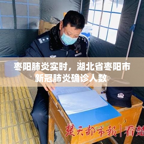 枣阳肺炎实时，湖北省枣阳市新冠肺炎确诊人数 