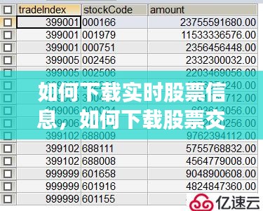如何下载实时股票信息，如何下载股票交易数据 