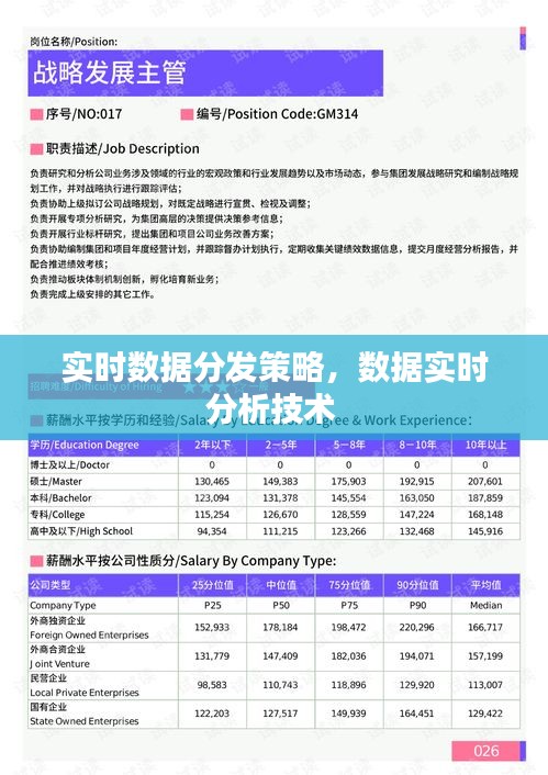 实时数据分发策略，数据实时分析技术 