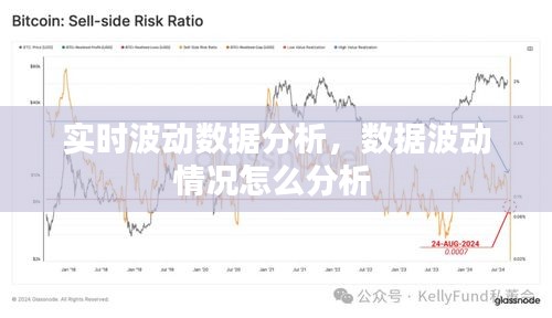 实时波动数据分析，数据波动情况怎么分析 