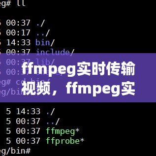 ffmpeg实时传输视频，ffmpeg实时播放本地文件 