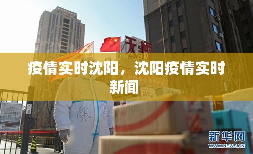 疫情实时沈阳，沈阳疫情实时新闻 