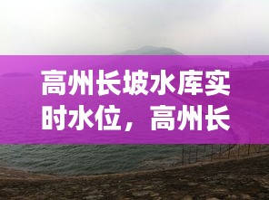 高州长坡水库实时水位，高州长坡水库能钓鱼吗 