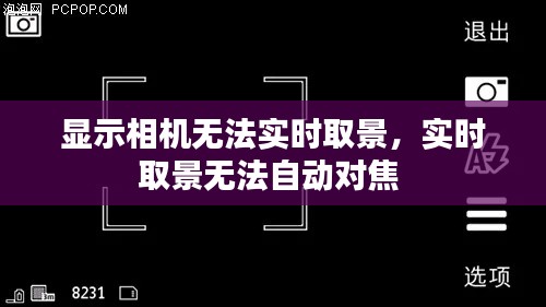 显示相机无法实时取景，实时取景无法自动对焦 