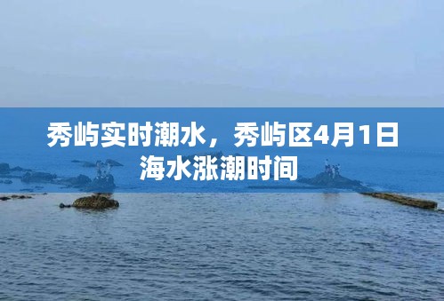 秀屿实时潮水，秀屿区4月1日海水涨潮时间 