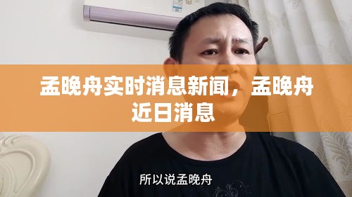 孟晚舟实时消息新闻，孟晚舟近日消息 