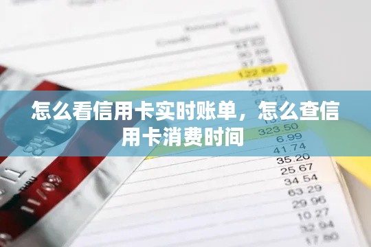 怎么看信用卡实时账单，怎么查信用卡消费时间 