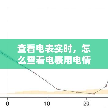 查看电表实时，怎么查看电表用电情况 