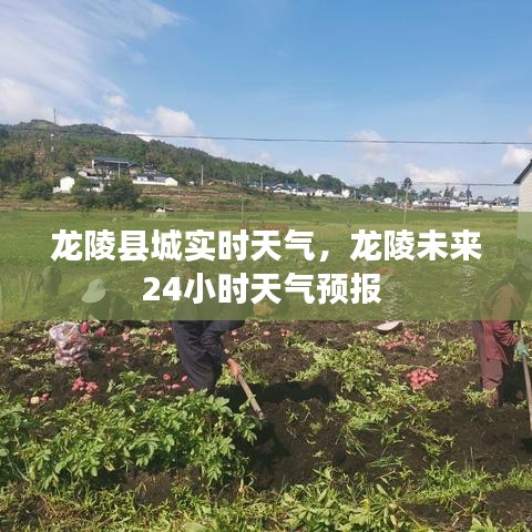 龙陵县城实时天气，龙陵未来24小时天气预报 