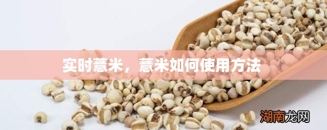 实时薏米，薏米如何使用方法 