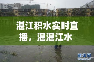 湛江积水实时直播，湛湛江水 