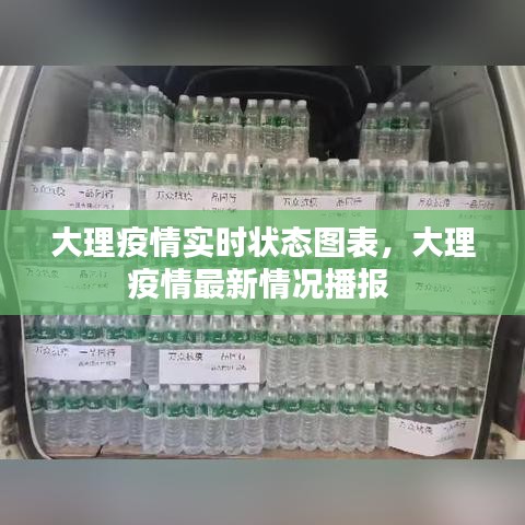 大理疫情实时状态图表，大理疫情最新情况播报 