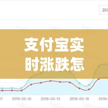 支付宝实时涨跌怎么看，支付宝哪里可以看股票涨跌 