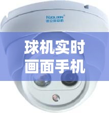 球机实时画面手机有声音，球机有图像不能控制 