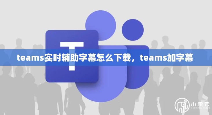 teams实时辅助字幕怎么下载，teams加字幕 