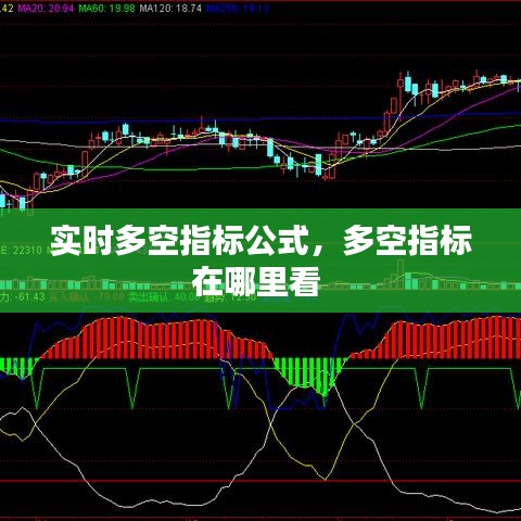 实时多空指标公式，多空指标在哪里看 