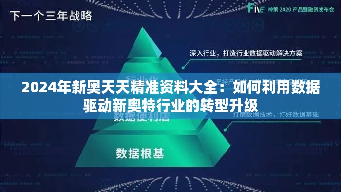 2024年新奥天天精准资料大全：如何利用数据驱动新奥特行业的转型升级