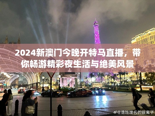 2024新澳门今晚开特马直播，带你畅游精彩夜生活与绝美风景