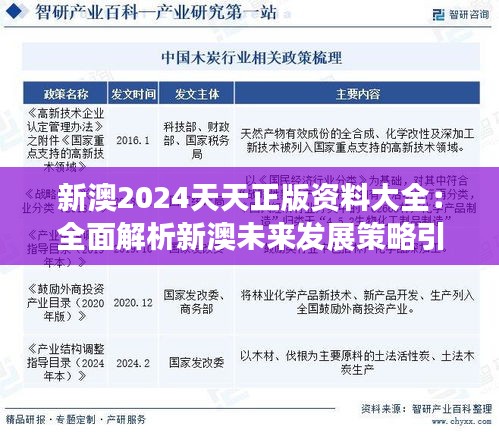 新澳2024天天正版资料大全：全面解析新澳未来发展策略引领新机遇