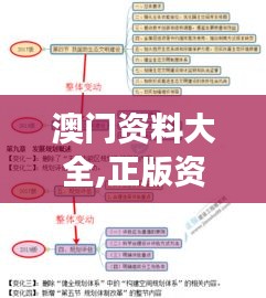 澳门资料大全,正版资料查询：深入解析澳门的社会变迁与经济发展趋势