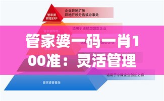 管家婆一码一肖100准：灵活管理，助你轻松掌控企业财务