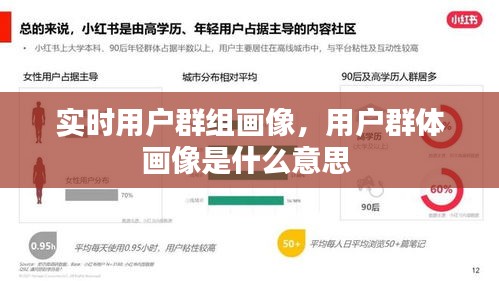 实时用户群组画像，用户群体画像是什么意思 