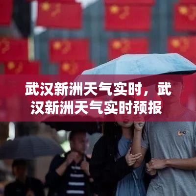 武汉新洲天气实时，武汉新洲天气实时预报 