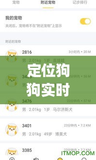 定位狗狗实时定位软件，狗狗gps定位追踪便宜好用 
