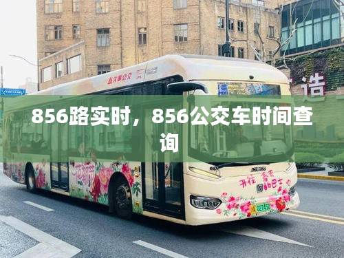 856路实时，856公交车时间查询 