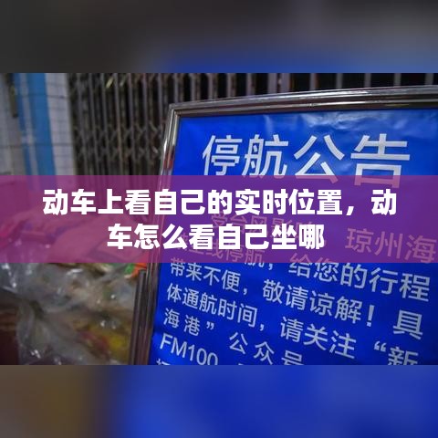 动车上看自己的实时位置，动车怎么看自己坐哪 