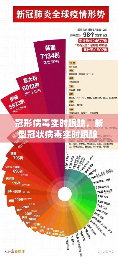 冠形病毒实时跟踪，新型冠状病毒实时跟踪 