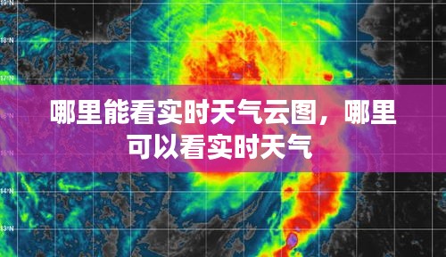 哪里能看实时天气云图，哪里可以看实时天气 