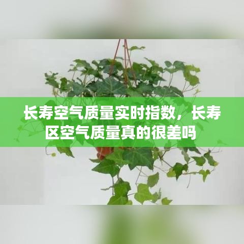 客户服务 第7页