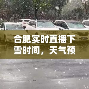 合肥实时直播下雪时间，天气预报合肥下雪 