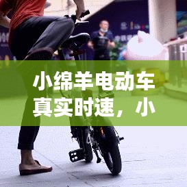 小绵羊电动车真实时速，小绵羊电动车参数 