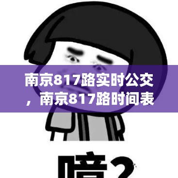 南京817路实时公交，南京817路时间表 