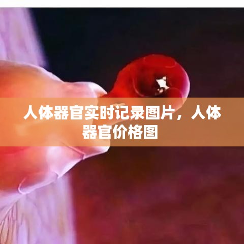 人体器官实时记录图片，人体器官价格图 