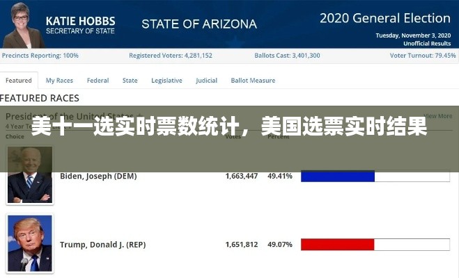 美十一选实时票数统计，美国选票实时结果 