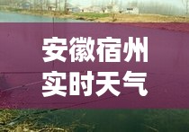 安徽宿州实时天气，安徽宿州天气预 