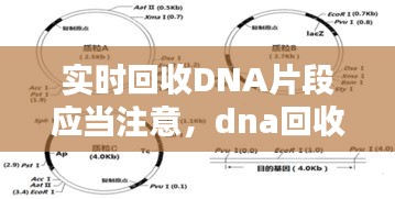 2024年12月28日