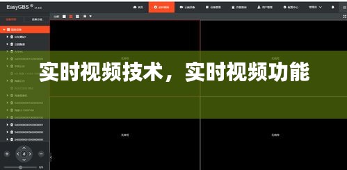实时视频技术，实时视频功能 