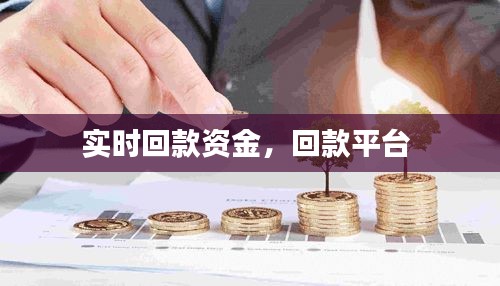 实时回款资金，回款平台 