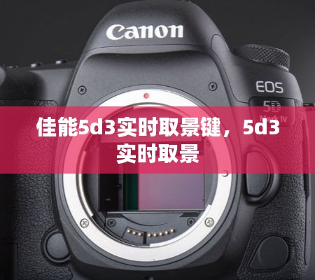 佳能5d3实时取景键，5d3 实时取景 