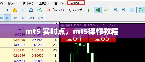 mt5 实时点，mt5操作教程 