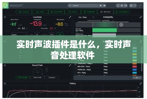 实时声波插件是什么，实时声音处理软件 