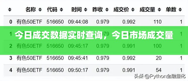 今日成交数据实时查询，今日市场成交量 