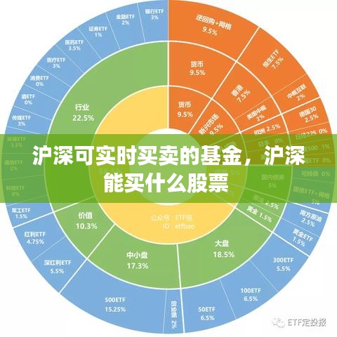 沪深可实时买卖的基金，沪深能买什么股票 