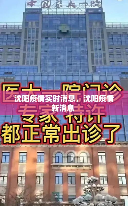 沈阳疫情实时消息，沈阳疫情新消息 