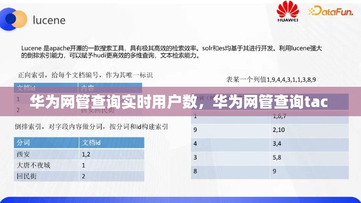 华为网管查询实时用户数，华为网管查询tac 